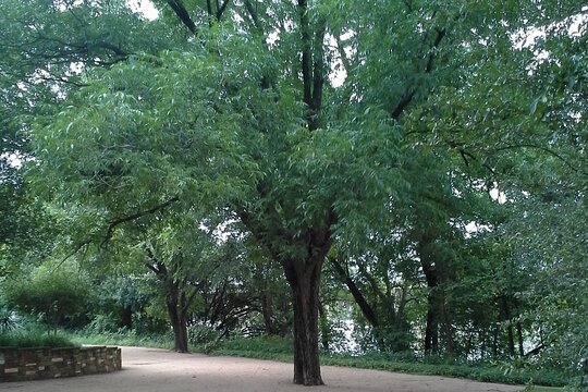Tour image 6